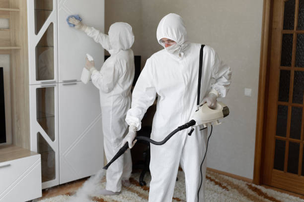 Forensic Mold Investigation in Clyde, NC